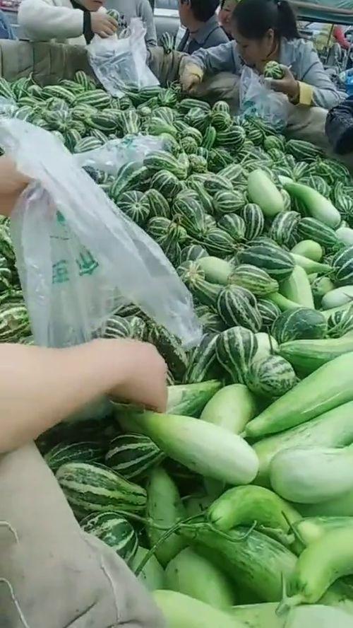 街道吃瓜视频大全,吃瓜视频大全精选回顾