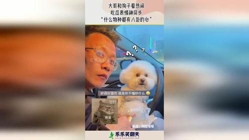 狗子吃瓜看热闹配音视频,萌态配音笑翻天