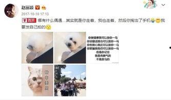 吃瓜闹肚子视频下载,网友热议健康饮食与娱乐界限