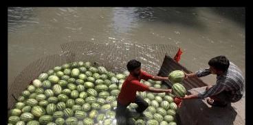 男人吃瓜被扔河里视频,瓜果安全需警惕