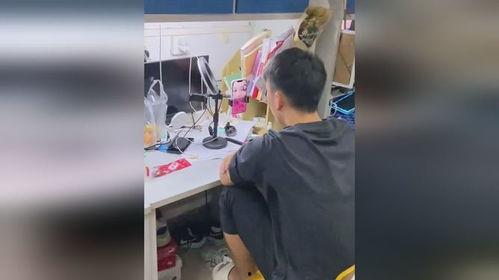 一群人吃瓜视频,揭秘一群人吃瓜的欢乐时光