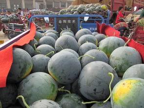 西瓜视频农村吃瓜