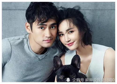 明星吃瓜合影视频大全集,笑料百出视频大全集