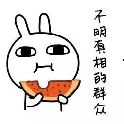 吃瓜吃喝玩乐图片搞笑视频,搞笑视频大盘点